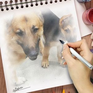 Meet your Posher, Robin